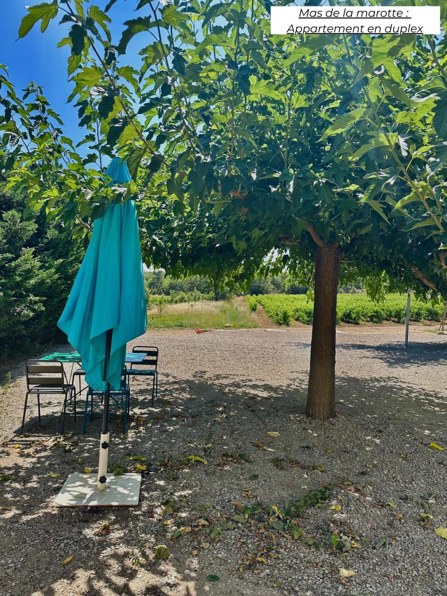 Domaine Les Terres De Saint-Hilaire Apartman Ollières Kültér fotó