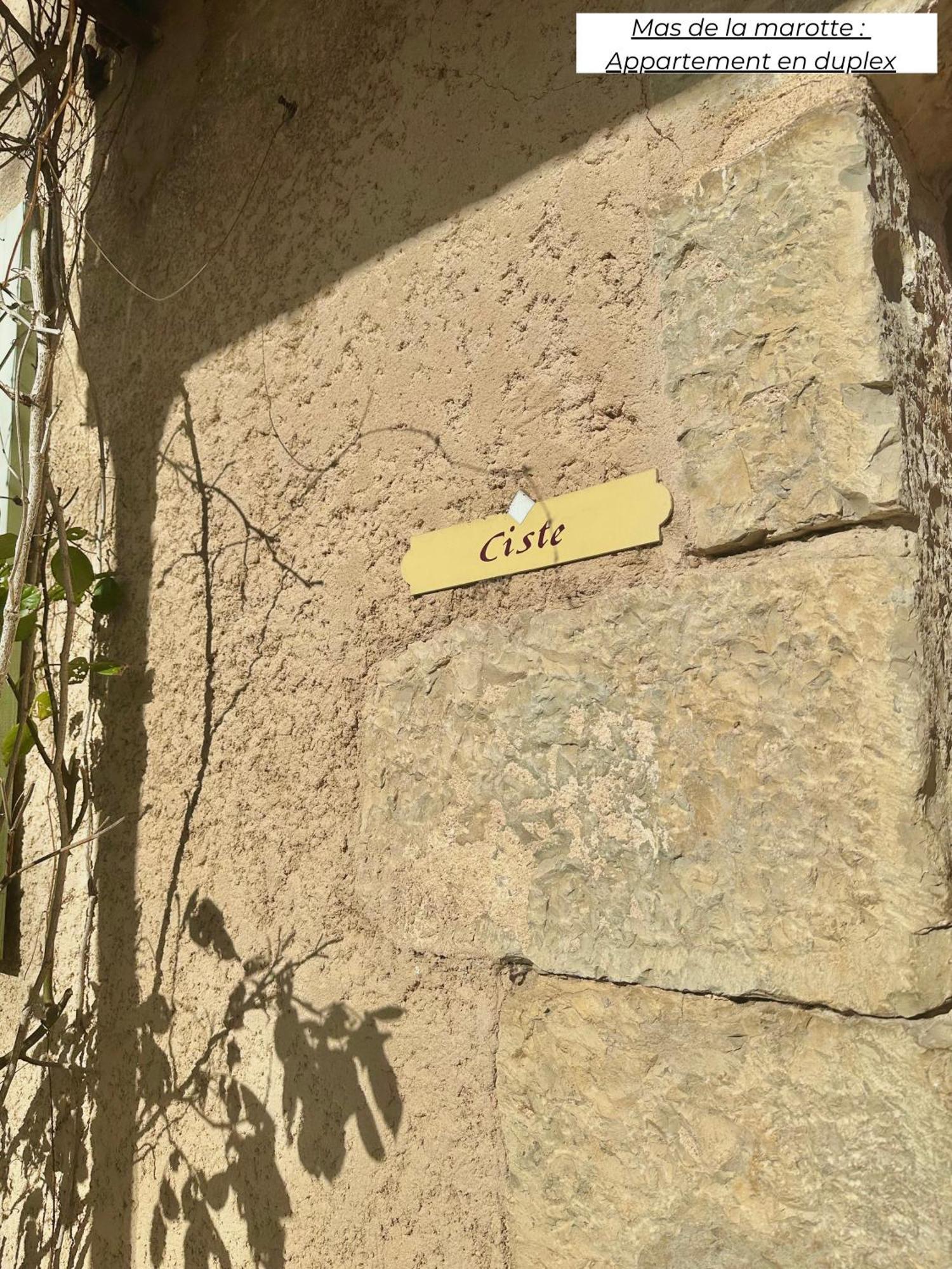 Domaine Les Terres De Saint-Hilaire Apartman Ollières Kültér fotó