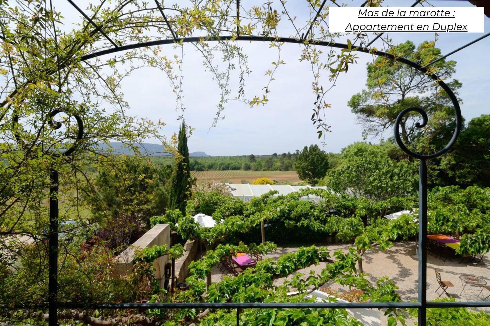 Domaine Les Terres De Saint-Hilaire Apartman Ollières Kültér fotó